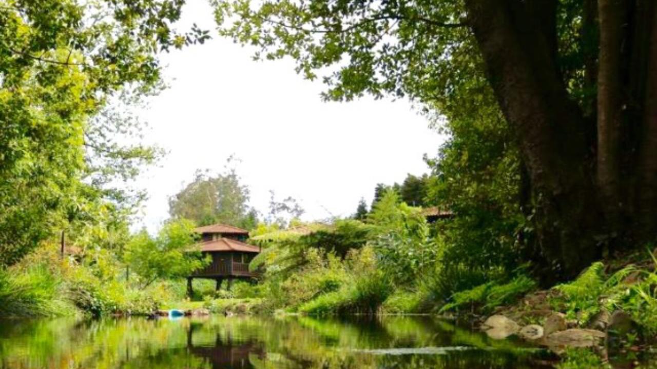 Quinta Das Eiras Santo Antonio da Serra Exterior foto